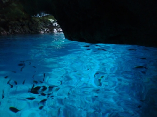 幼児（５歳と２歳）を連れた沖縄旅行。青の洞窟シュノーケリングツアー『ナチュラルブルー』の青の洞窟