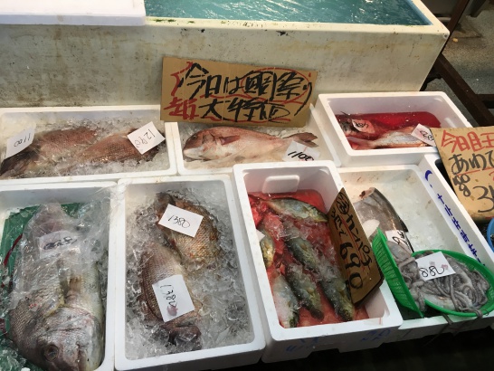 魚広場ナルミ杉本の激安魚介類