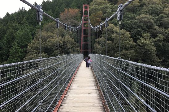 多良峡森林公園の吊り橋